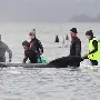 西雅图海湾者新星爆发，挑战塔斯马尼亚联防线坚固(西雅图海湾人vs休斯敦迪纳摩)