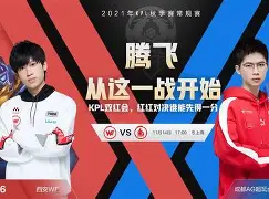 鏖战五局，冰川之巅终于拿下关键一胜，评论席掌声连连(黄沙百战穿金甲不破楼兰终不还的)